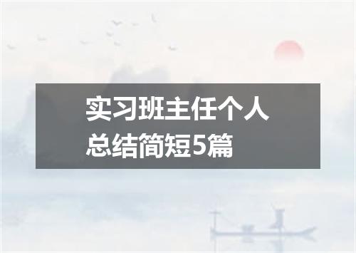 实习班主任个人总结简短5篇