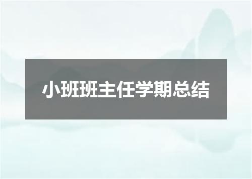 小班班主任学期总结