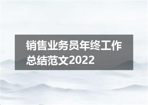 销售业务员年终工作总结范文2022