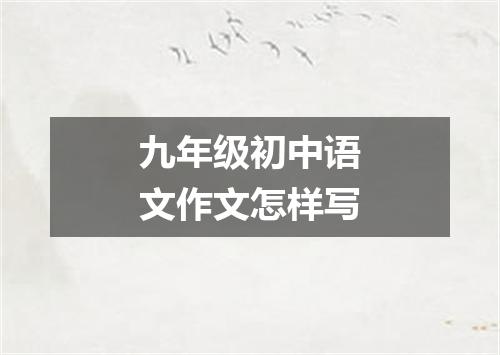 九年级初中语文作文怎样写