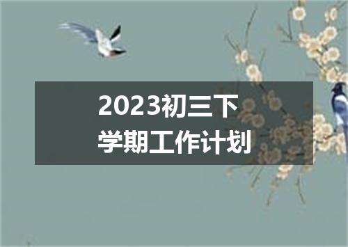 2023初三下学期工作计划
