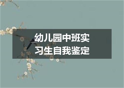幼儿园中班实习生自我鉴定
