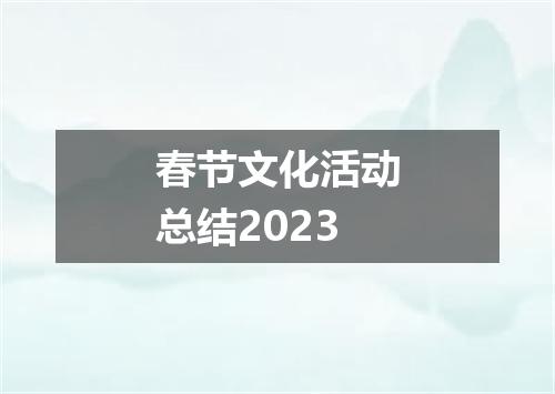 春节文化活动总结2023