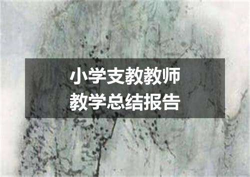 小学支教教师教学总结报告