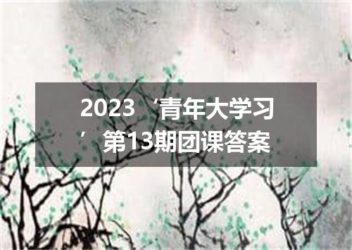 2023‘青年大学习’第13期团课答案