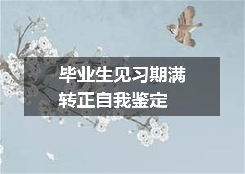 毕业生见习期满转正自我鉴定