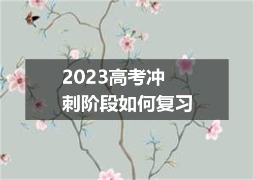 2023高考冲刺阶段如何复习