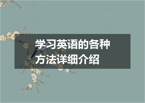 学习英语的各种方法详细介绍