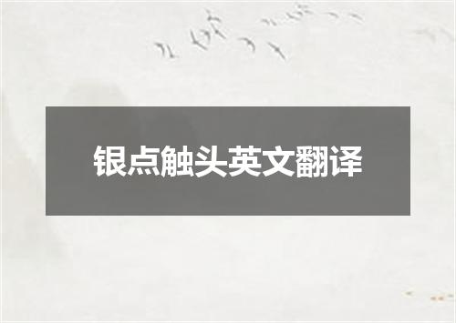 银点触头英文翻译