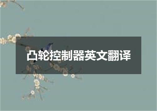 凸轮控制器英文翻译