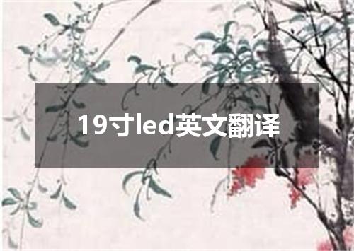 19寸led英文翻译