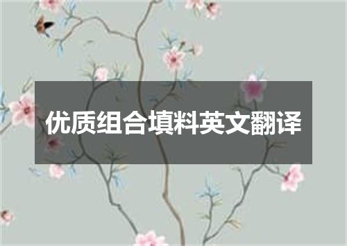 优质组合填料英文翻译