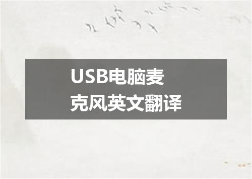 USB电脑麦克风英文翻译