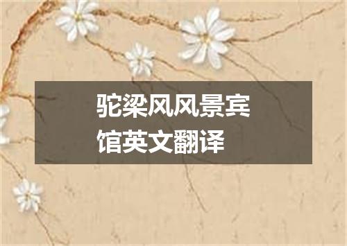 驼梁风风景宾馆英文翻译