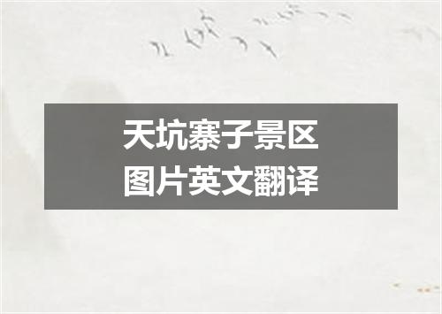 天坑寨子景区图片英文翻译