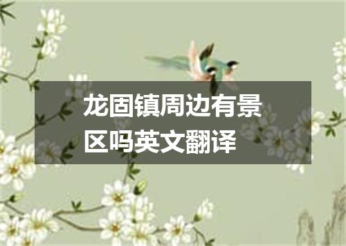 龙固镇周边有景区吗英文翻译