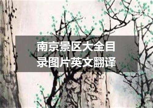 南京景区大全目录图片英文翻译