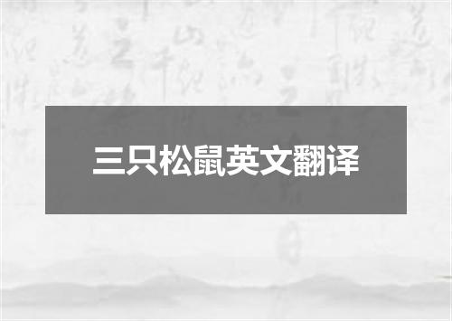 三只松鼠英文翻译