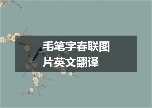 毛笔字春联图片英文翻译