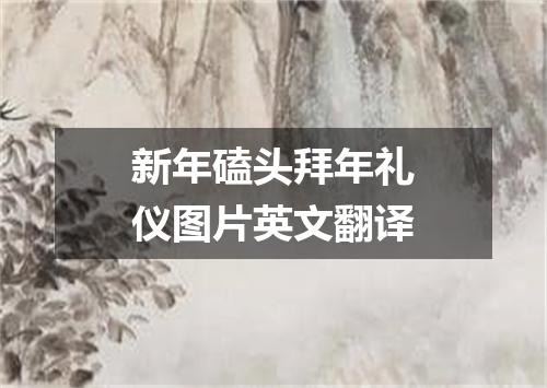 新年磕头拜年礼仪图片英文翻译