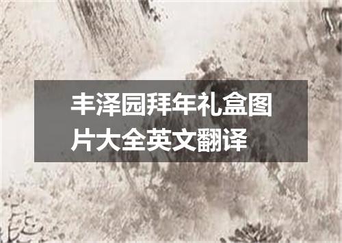 丰泽园拜年礼盒图片大全英文翻译