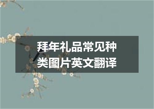 拜年礼品常见种类图片英文翻译