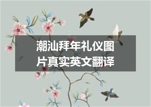 潮汕拜年礼仪图片真实英文翻译