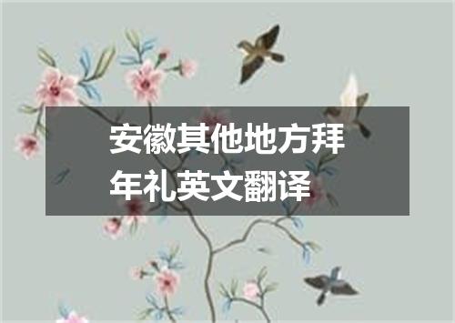 安徽其他地方拜年礼英文翻译