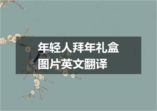 年轻人拜年礼盒图片英文翻译