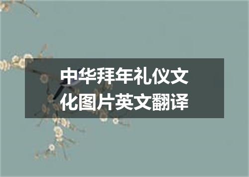 中华拜年礼仪文化图片英文翻译