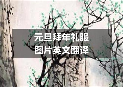 元旦拜年礼服图片英文翻译
