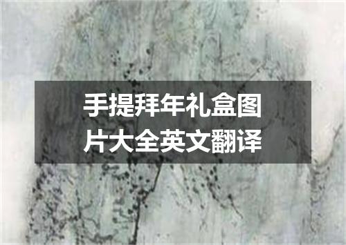 手提拜年礼盒图片大全英文翻译