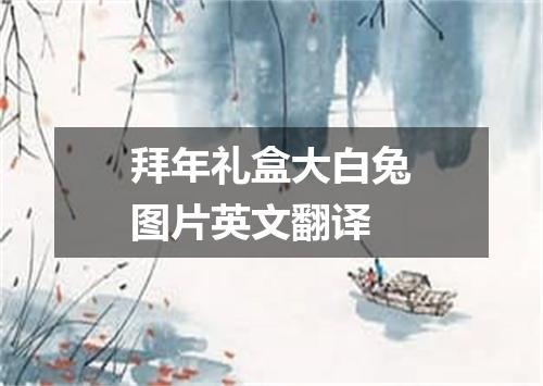 拜年礼盒大白兔图片英文翻译