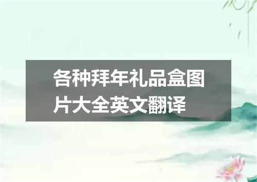 各种拜年礼品盒图片大全英文翻译