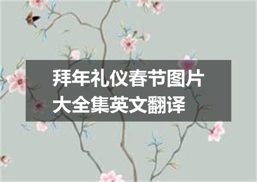 拜年礼仪春节图片大全集英文翻译