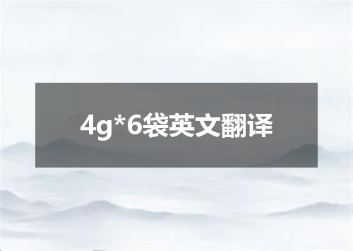 4g*6袋英文翻译