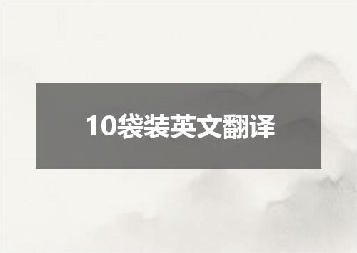 10袋装英文翻译