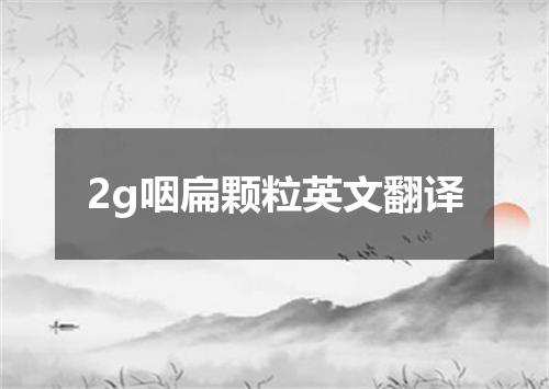 2g咽扁颗粒英文翻译
