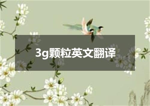3g颗粒英文翻译