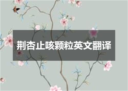 荆杏止咳颗粒英文翻译
