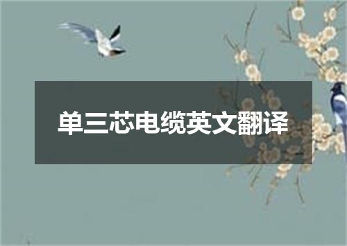 单三芯电缆英文翻译