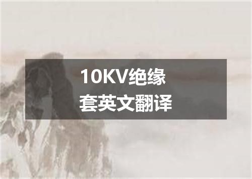 10KV绝缘套英文翻译