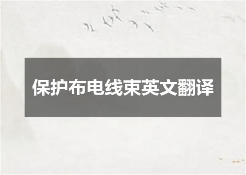 保护布电线束英文翻译