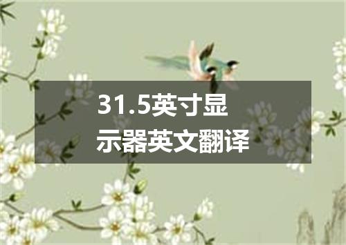 31.5英寸显示器英文翻译