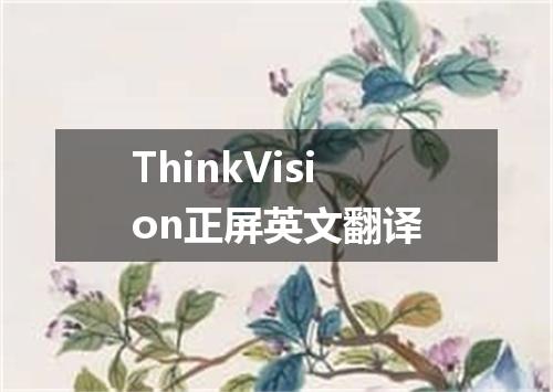 ThinkVision正屏英文翻译