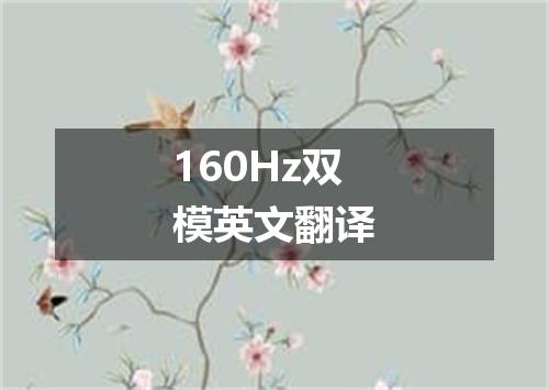 160Hz双模英文翻译