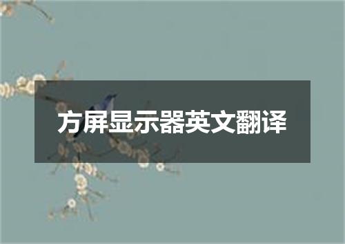 方屏显示器英文翻译
