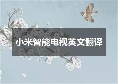 小米智能电视英文翻译