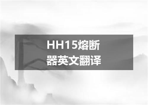 HH15熔断器英文翻译