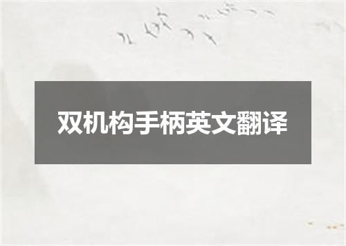 双机构手柄英文翻译